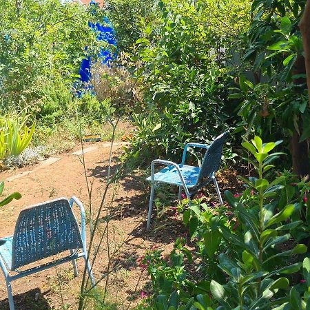 Studio Apartment Garden Dubrovnik Dış mekan fotoğraf