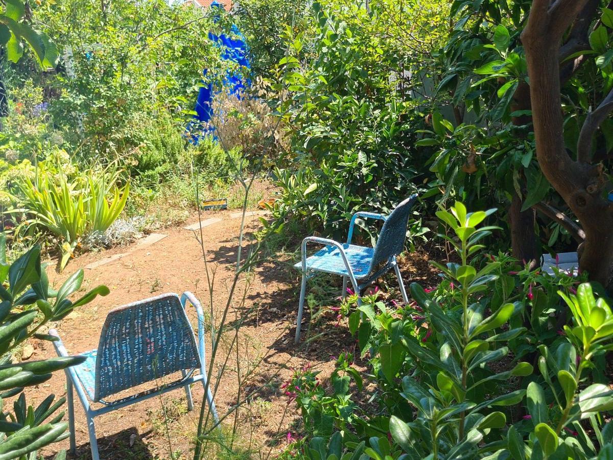 Studio Apartment Garden Dubrovnik Dış mekan fotoğraf